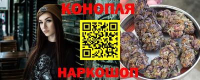 сатива Славгород