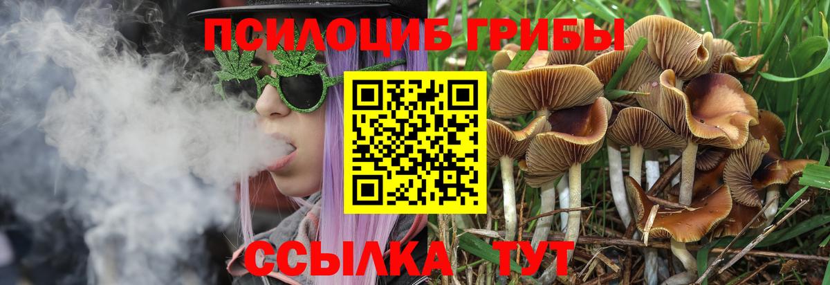 Галлюциногенные грибы Psilocybe  Галлюциногенные грибы GOLDEN TEACHER  Фрязино  Вход с VPN 